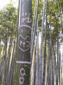 2026-02-14 09.22.50.jpg